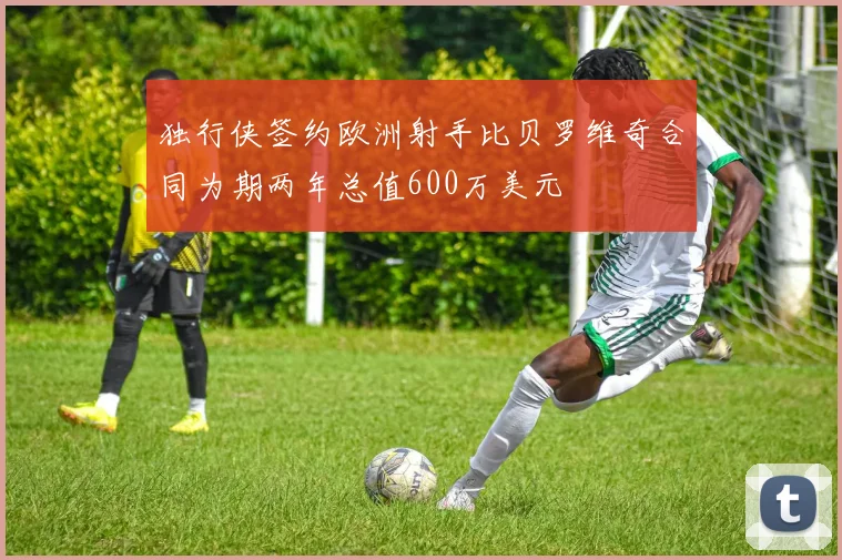 独行侠签约欧洲射手比贝罗维奇合同为期两年总值600万美元