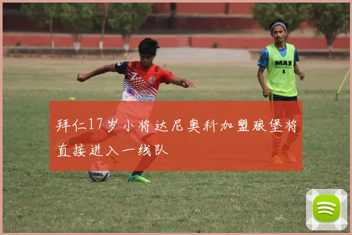拜仁17岁小将达尼奥科加盟狼堡将直接进入一线队